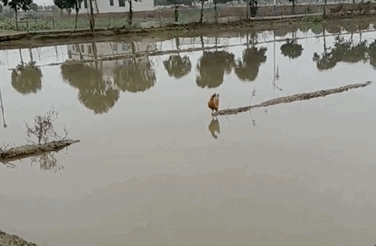 b113a7cae6edddec951b65f6c4afa7f2.gif