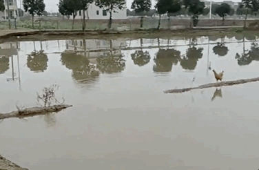 b8c8d45e511562b1cb355c7721c937a8.gif