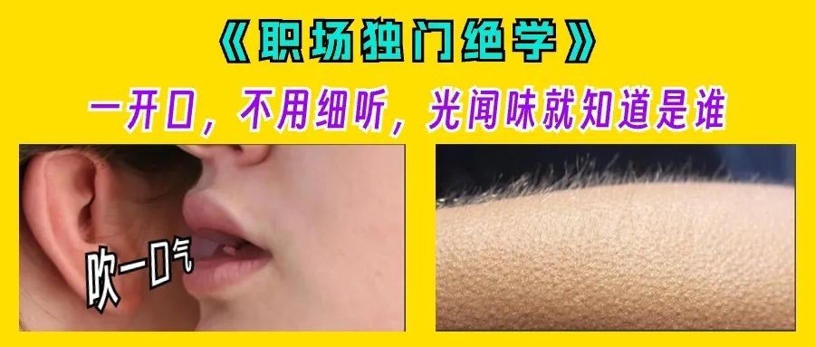 95487dc4a42a8ea3a751adfa54bbcda8.jpeg