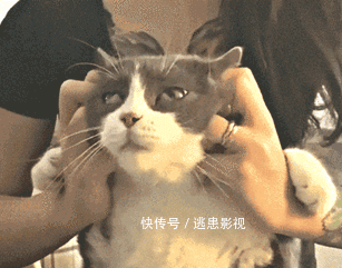 608adc3450f1ca96abbf80d2aa9741b8.gif