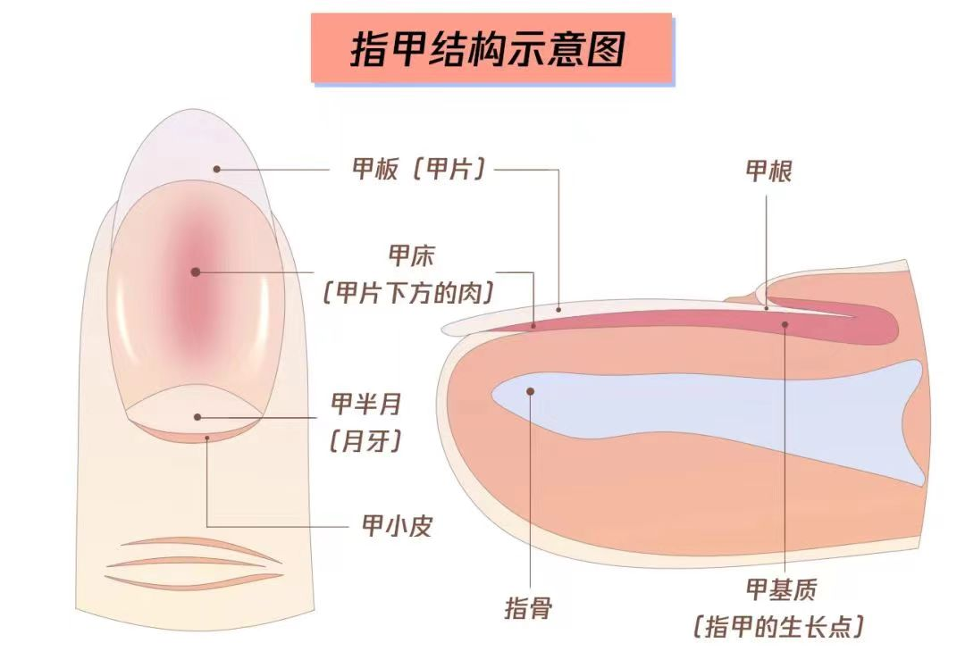 6f0917d5dc0b018b73a855cc040e4316.png