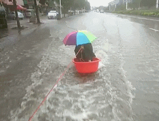 8b874c1f1a09d21f079ea9d036671528.gif