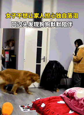 ba72d0cafc01061149a3dc5d2ea50d36.gif