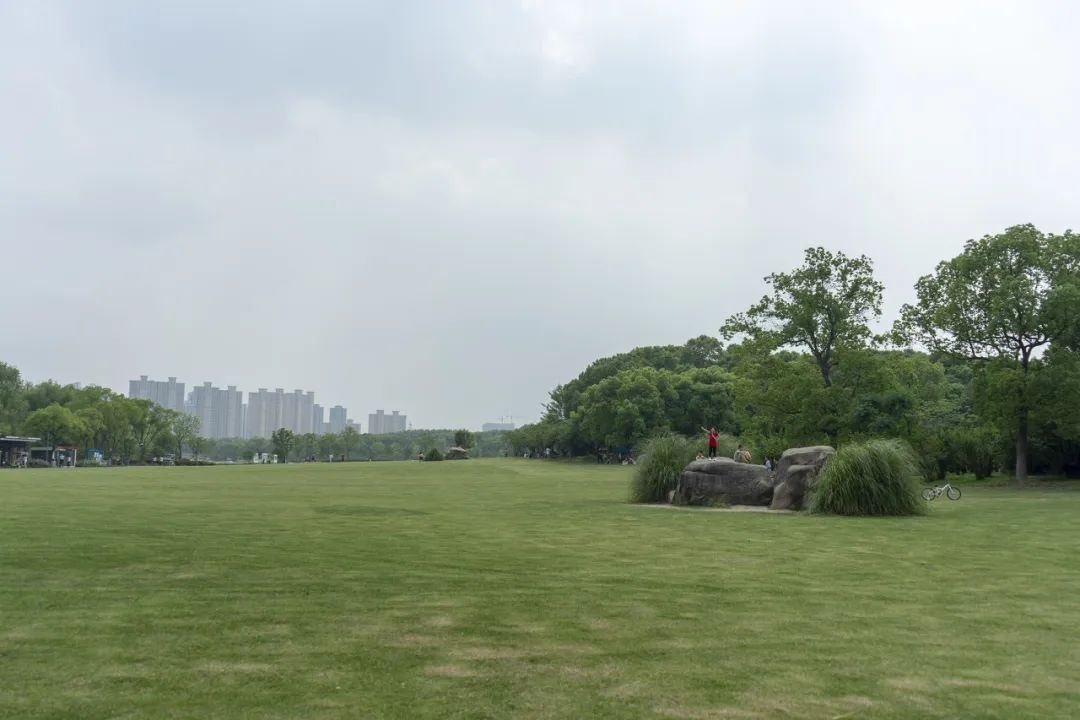 a4305158d8d331cf6104f27e804fffe9.jpeg