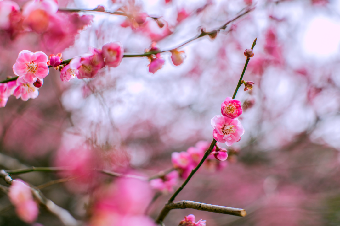 bcfd7a2fe2d5ee81fed69706bdf53b5c.png