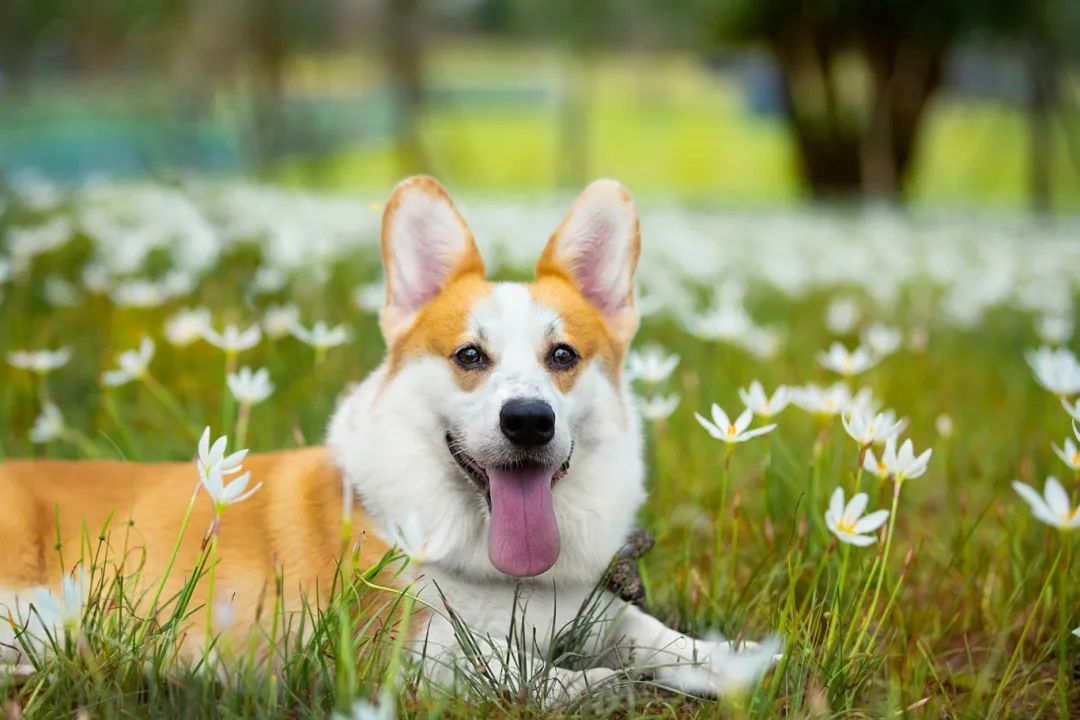 c42b09484d5cf2e1df7845aabc6abecb.jpeg