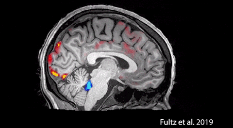 257ca6b80dc6a7354c6830454f958739.gif