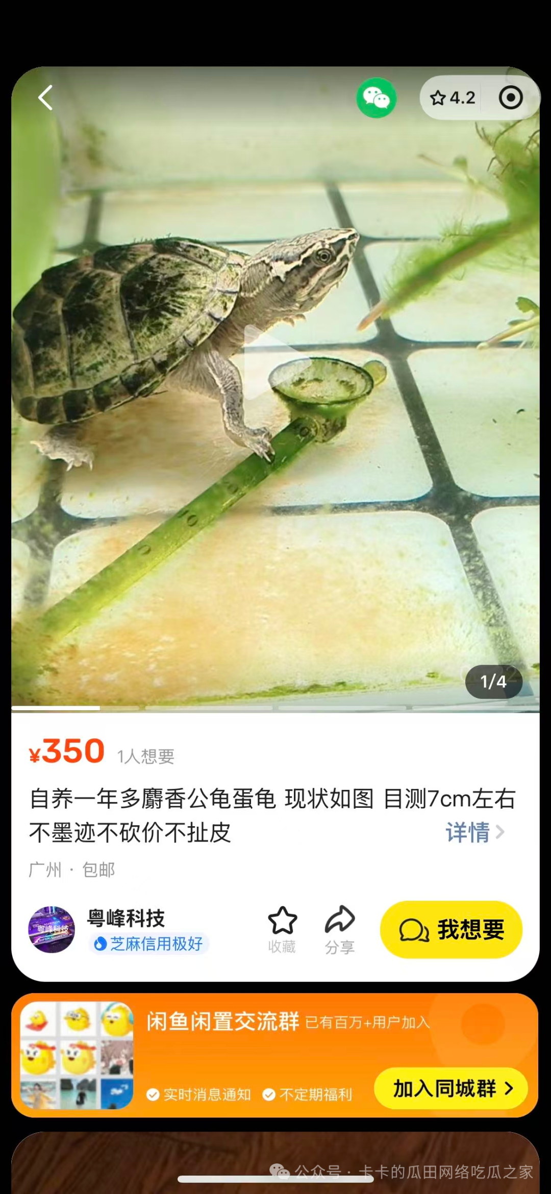 640.jpg