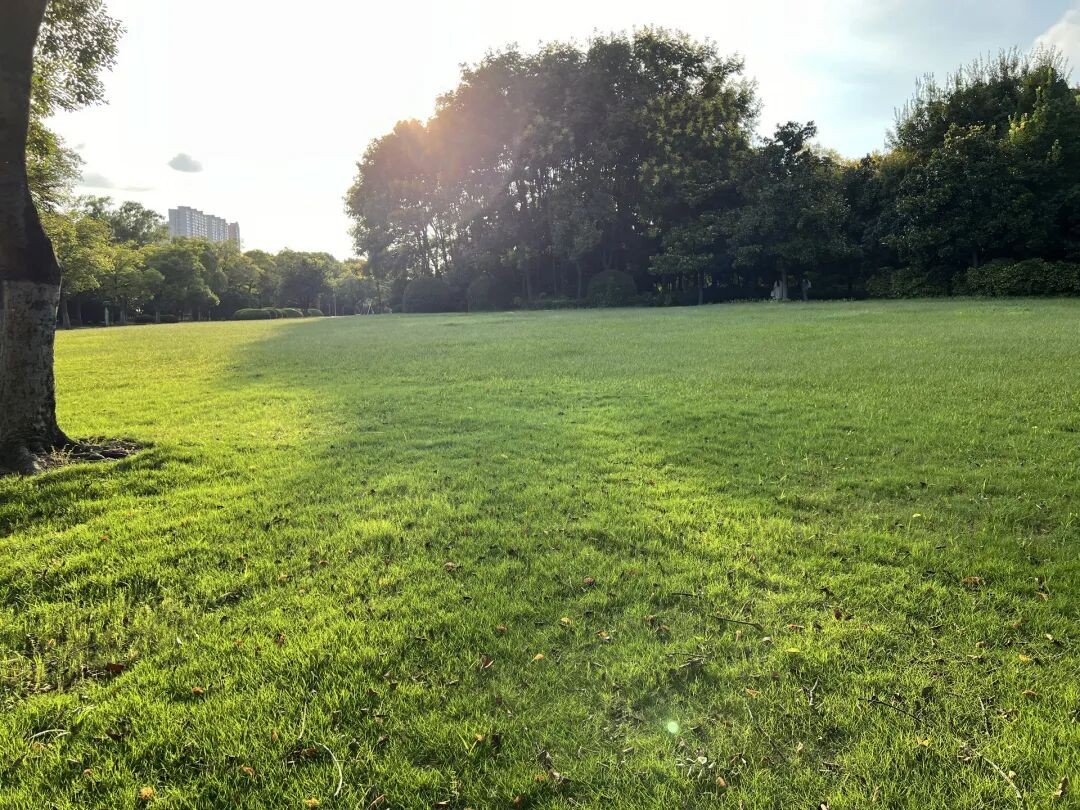640.jpg 640.jpg