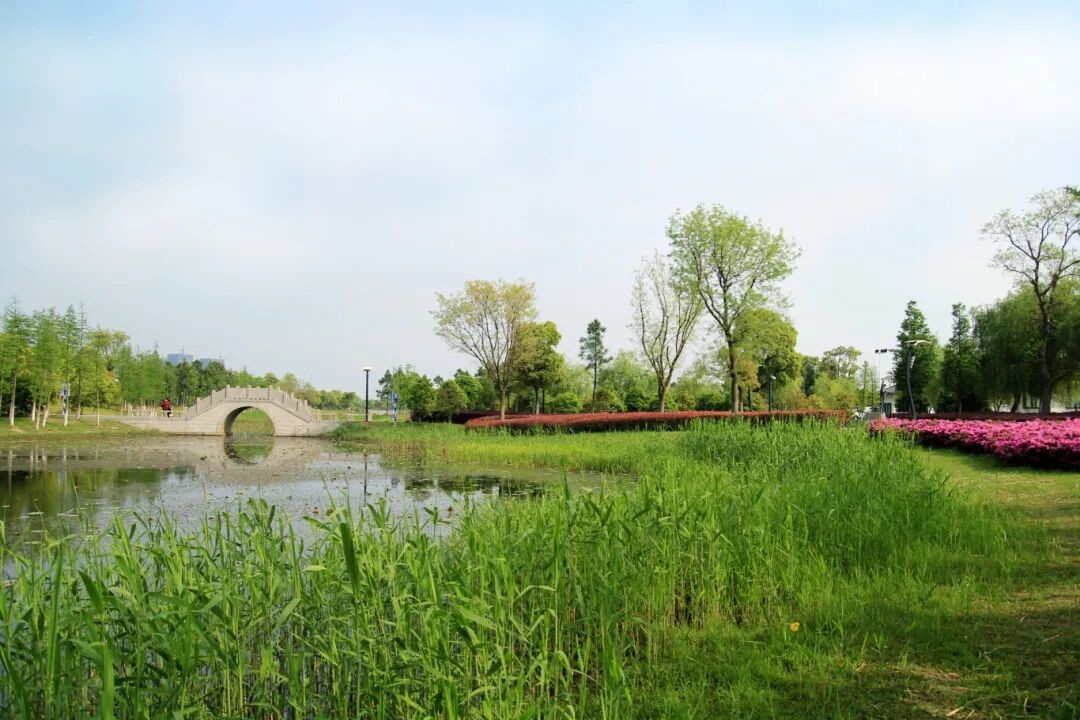 640.jpg